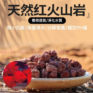 火山石水族的價格推薦 21年8月 比價撿便宜