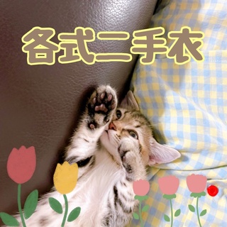 二手衣/霧藍色條紋毛衣 橫條紋上衣 直條紋 高領毛衣 牛仔褲 短褲 帽子