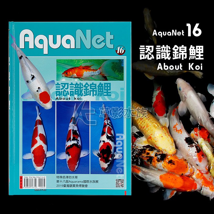 Ac草影 Aquanet 16 認識錦鯉 一本 蝦皮購物