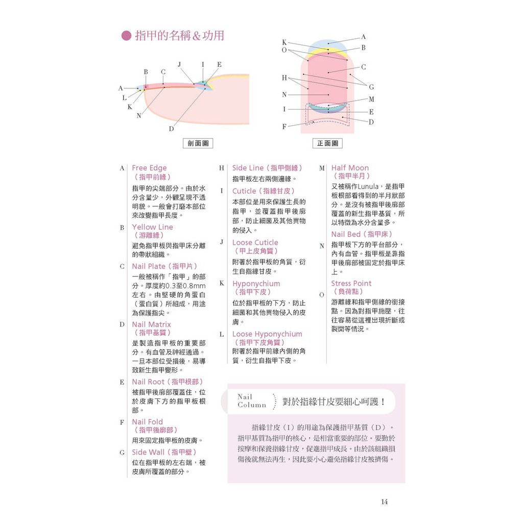 自學ok 初學者的第一本美甲教科書 暢銷版 蝦皮購物
