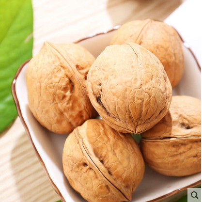 <五寶松鼠堅果雜貨舖>帶殼生核桃 手捏 磨牙零食*松鼠飛鼠大赤鼯鼠鸚鵡磨牙零食*