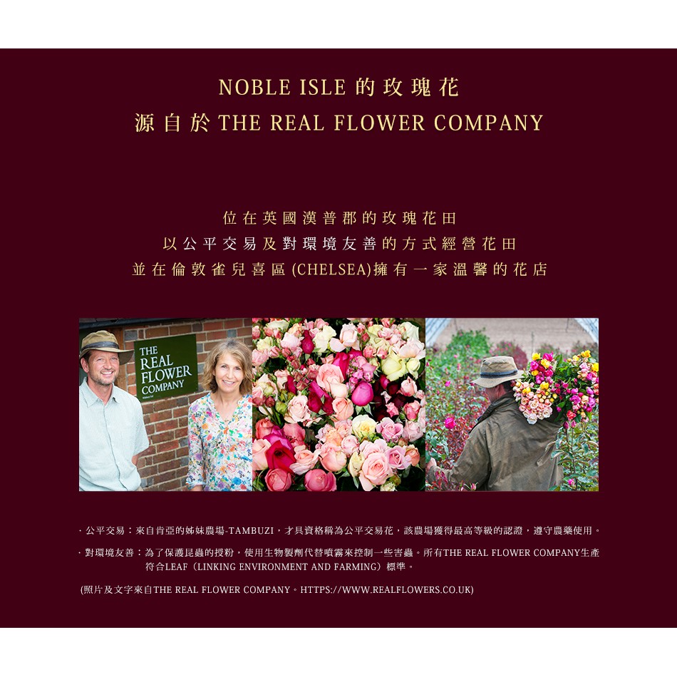 Noble Isle 茶玫瑰 抗老護手精華乳 250ml 蝦皮購物