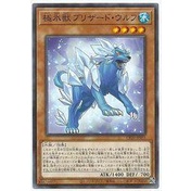 【DCT_緣夢の城】遊戲王 CP20-JP031 極冰獸暴風雪狼 普卡 90-95分