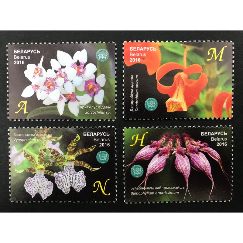 白俄羅斯郵票16 國家科學院中央植物園蘭花套票4全小全張1全 蝦皮購物