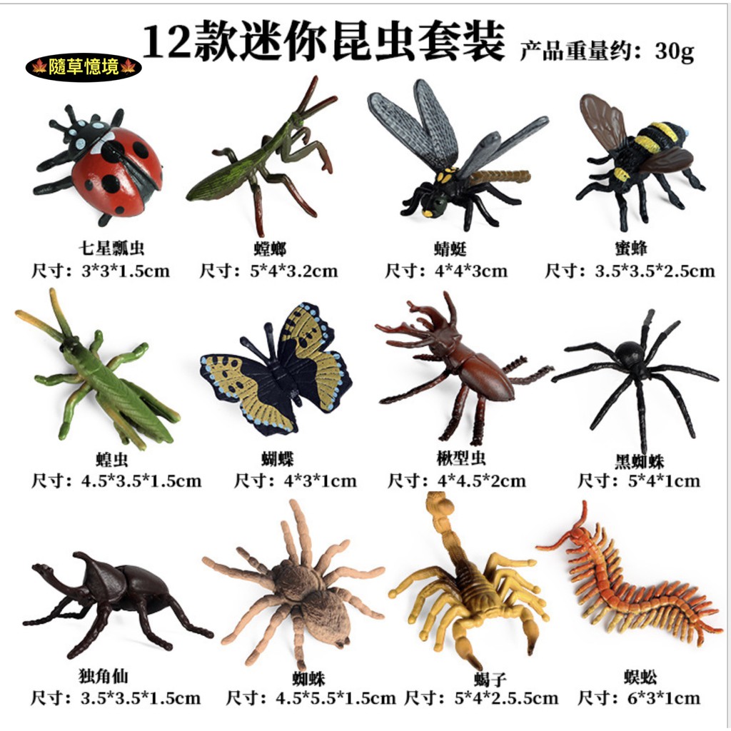 12款迷你 仿真昆蟲獨角仙蝴蝶蜜蜂蜘蛛螳螂蠍子蜈蚣蜻蜓模型野生動物益智spg 蝦皮購物