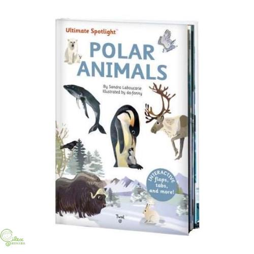 Ultimate Spotlight: Polar Animals (精裝立體知識百科)