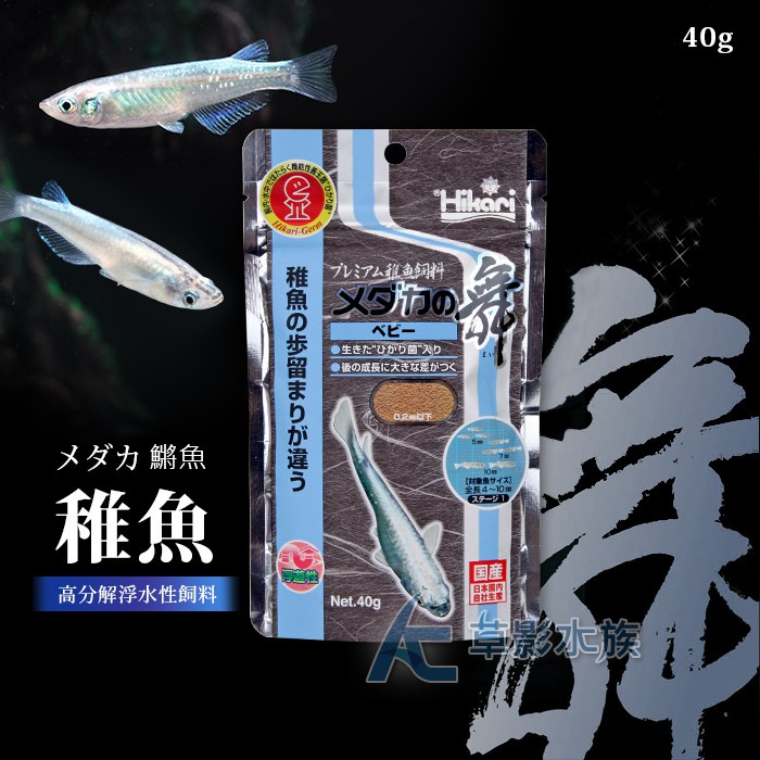 Ac草影 Hikari 高夠力鱂魚之舞稚魚飼料 40g 一隻 蝦皮購物