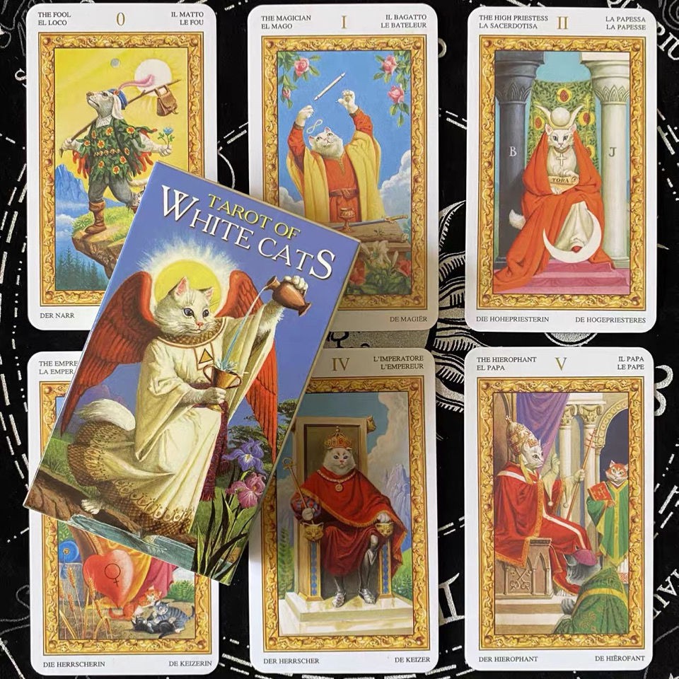 新貨 白貓塔羅牌 有中文翻譯 Tarot of White Cats 英文定制卡牌