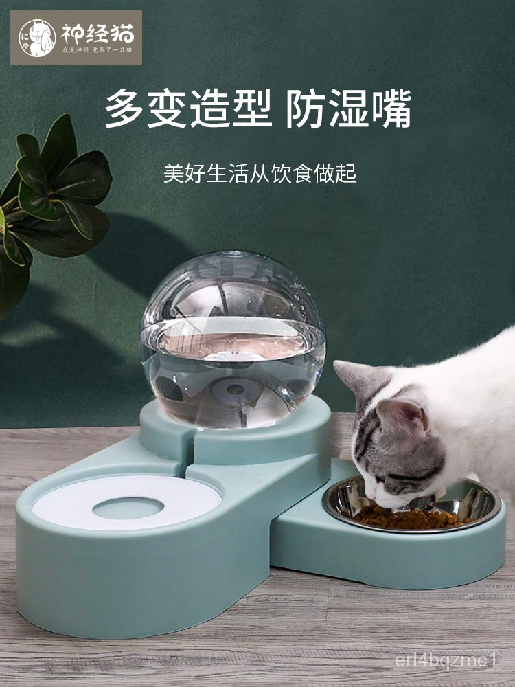貓咪飲水機自動循環餵食器狗狗喝水器不濕嘴寵物水盆水碗喂水貓用
