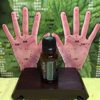 多特瑞尤加利精油15 ml EXP 2026.1～美國總公司