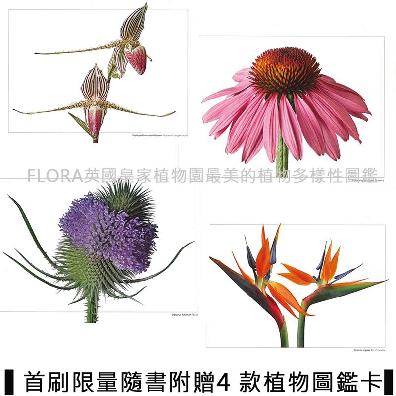 79折 Flora英國皇家植物園最美的植物多樣性圖鑑 深入根莖 貼近花果葉 發現生命演化的豐富內涵 蝦皮購物