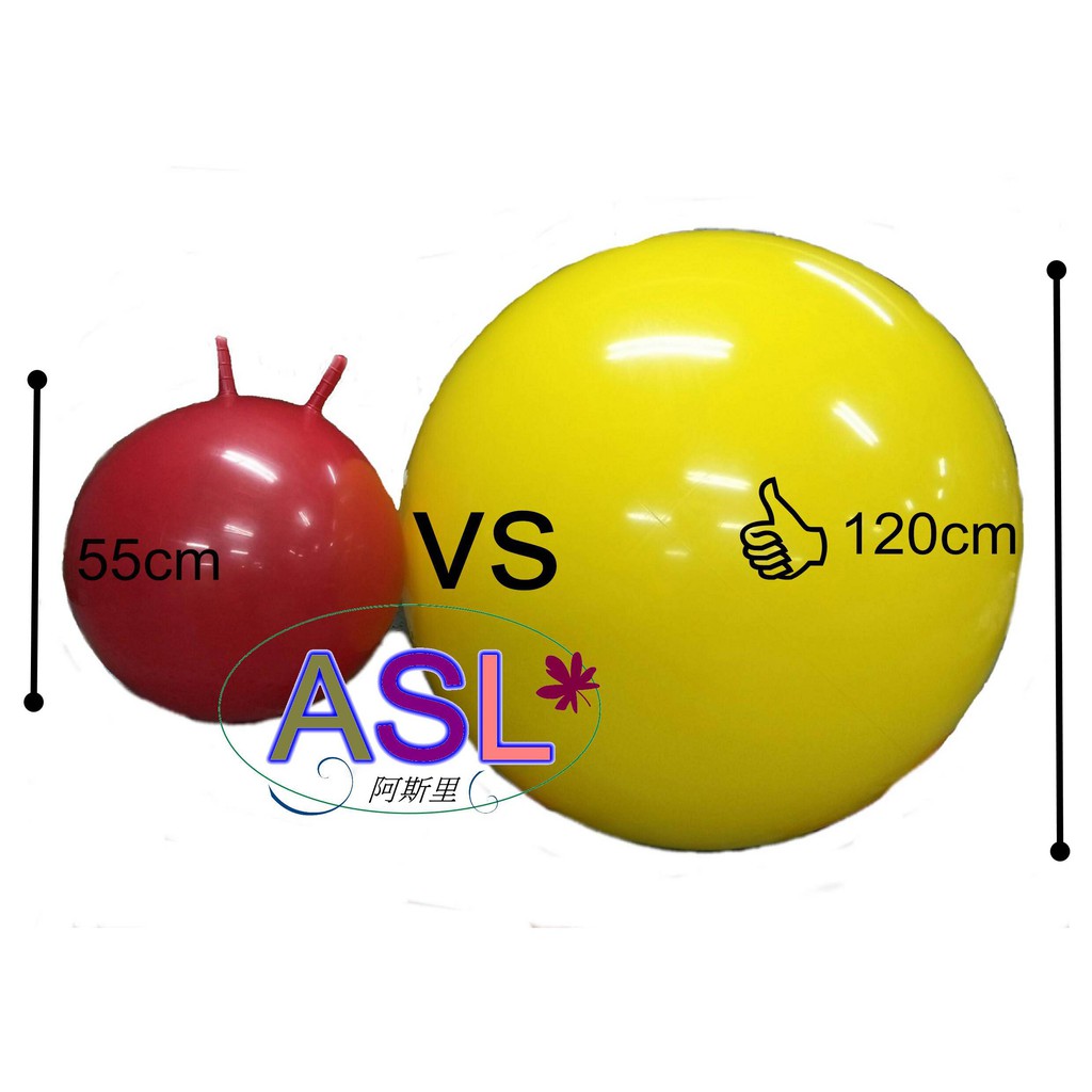 台灣製造 買就送打氣筒100~120cm大龍球 滾球 感覺統合大球 團體活動 小孩大人最合適 韻律球-送打氣筒
