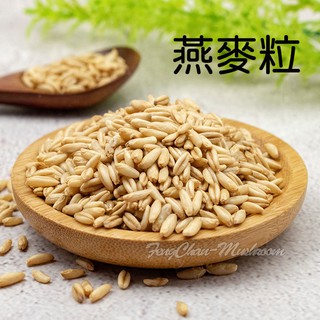 燕麥粒~精選澳洲 燕麥 燕麥粥 十穀 燕麥牛奶
