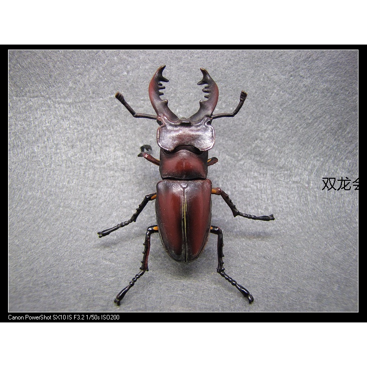 動物模型現貨 日本海洋堂動物chocoq系列動物扭蛋第十一彈 高砂深山鍬形蟲模型萬物生gk模型動物模型 蝦皮購物