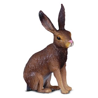 「芃芃玩具」COLLECTA 動物模型 野兔 R88012 模擬 教材 教學 貨號88012
