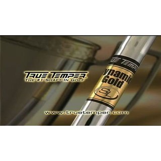 總統高爾夫 TrueTemper 輕量型 Dynamic Gold SL S300 R300 鐵桿 鐵木桿 用(平行桿)