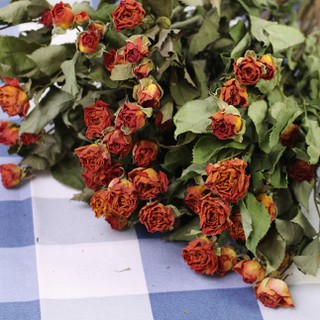 多件優惠 迷你玫瑰乾燥花 乾燥玫瑰 乾燥薔薇 母親節花束 畢業花束 新娘外拍捧花 乾燥花材 鮮花花束 乾燥花束 蝦皮購物