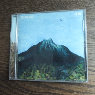 SUPER WILD HORSES - FIFTEEN