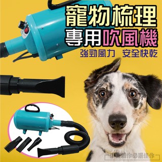 【現貨免運一年保固】寵物吹風機【伊德萊斯】大型寵物吹水機 110v台灣用 變頻吹風機 貓咪狗狗大型犬專用吹風機 快速吹乾