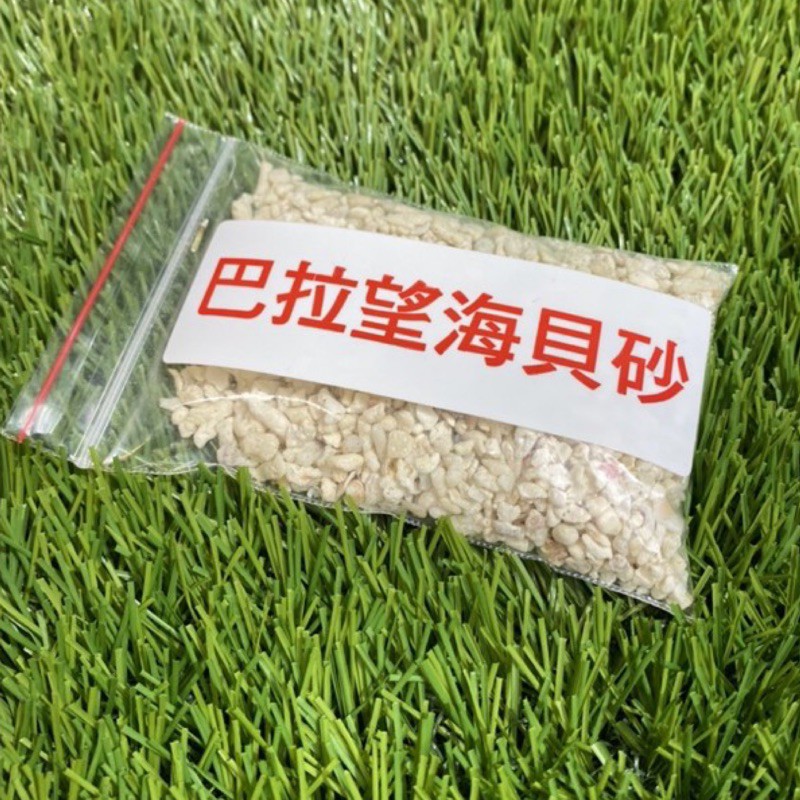 水族最便宜 珊瑚砂貝殼砂孔雀魚底砂海灘沙金魚底砂魚缸底砂特選超白巴拉望海貝砂鹼性底砂 蝦皮購物