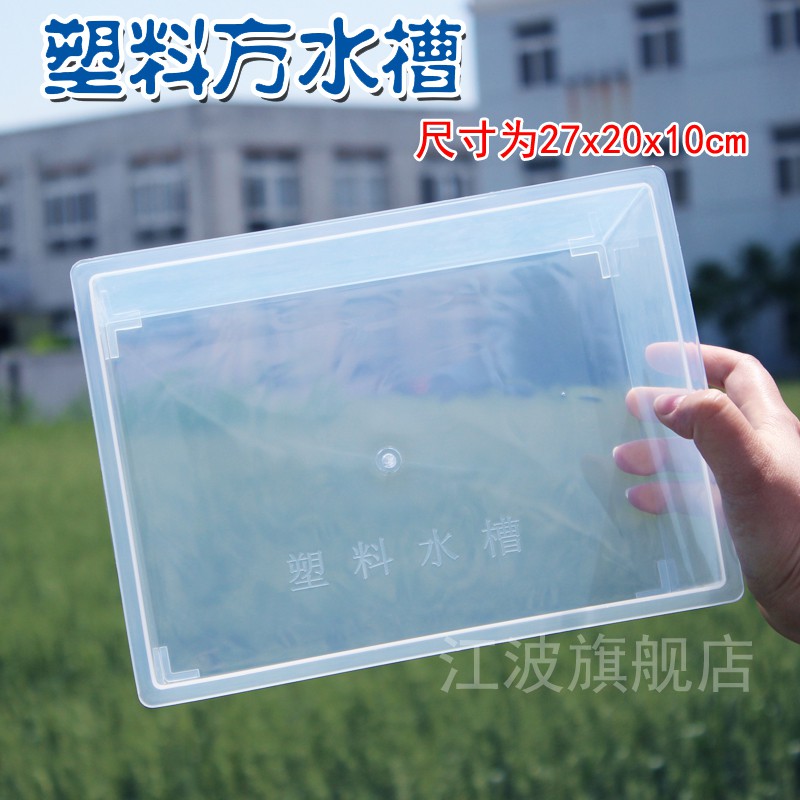 透明方形塑料水槽小學中學中考科學化學實驗器材器皿長方體透明塑料水槽水盆試驗盒教學實驗室用品儀器教具 蝦皮購物