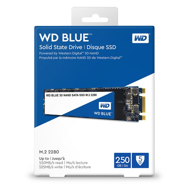 ~✈️雪地藏寶箱✈️~(現貨)WD [藍標7mm] 250GB M.2 2280 SATA 3D NAND 固態硬碟