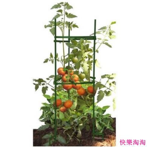 快樂淘淘 番茄支柱番茄種植架黃瓜辣椒茄子種植架花卉爬藤架攀爬架 蝦皮購物