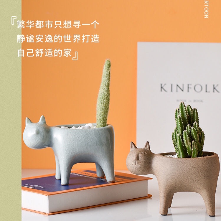 多肉植物尾巴 Ptt Dcard討論與高評價網拍商品 21年10月 飛比價格