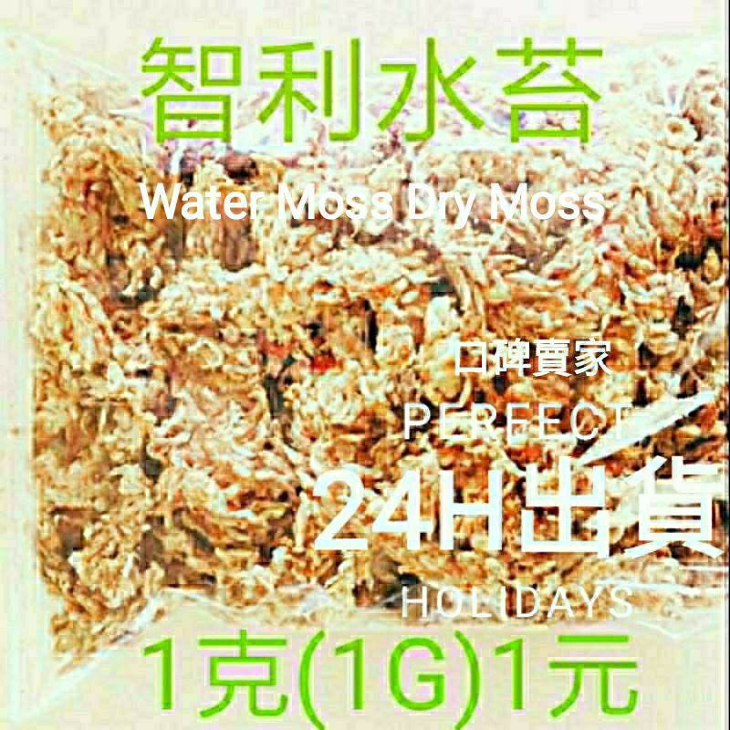 Audd 熱銷破千評 進口原裝分裝智利水苔 甲蟲蘭花墊材 買50塊給您60克重 蝦皮購物