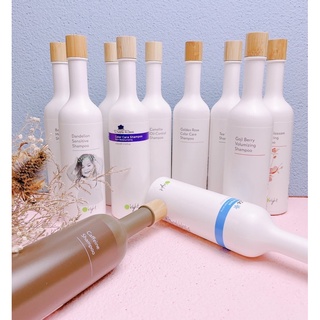 🌈夢幻選物🌈正品公司貨《Oright 歐萊德 》咖啡因 茶花 香檳玫瑰 紫玫瑰 茶樹 綠茶 竹萃 枸杞 桃花 洗髮精