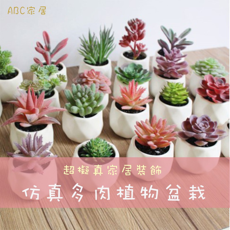 多肉花器 優惠推薦 21年8月 蝦皮購物台灣