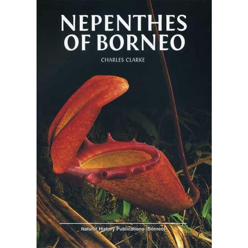 Nepethes of borneon 婆羅洲的豬籠草屬植物