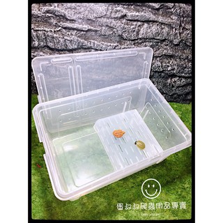 角蛙飼育盒 優惠推薦 21年11月 蝦皮購物台灣