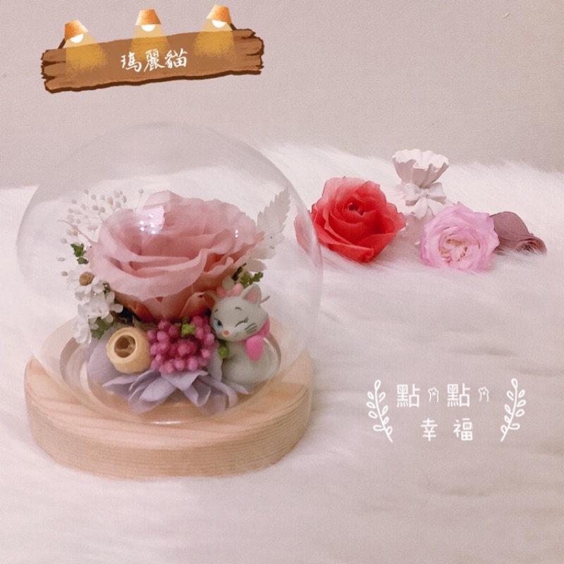 《點點，幸福》瑪麗貓 維尼 貓 不凋花/永生花玻璃罩 景觀玻璃乾燥花 永生花 生日禮物 畢業禮 情人節 母親節 聖誕