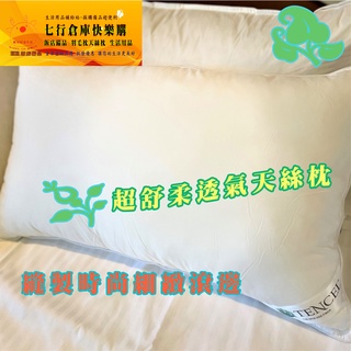 現貨 獨家填充達1100g 天絲枕 TENCEL 滾邊設計 舒眠枕 台灣製造 天絲 水洗枕 舒適透氣 枕心飯店 枕頭 寢