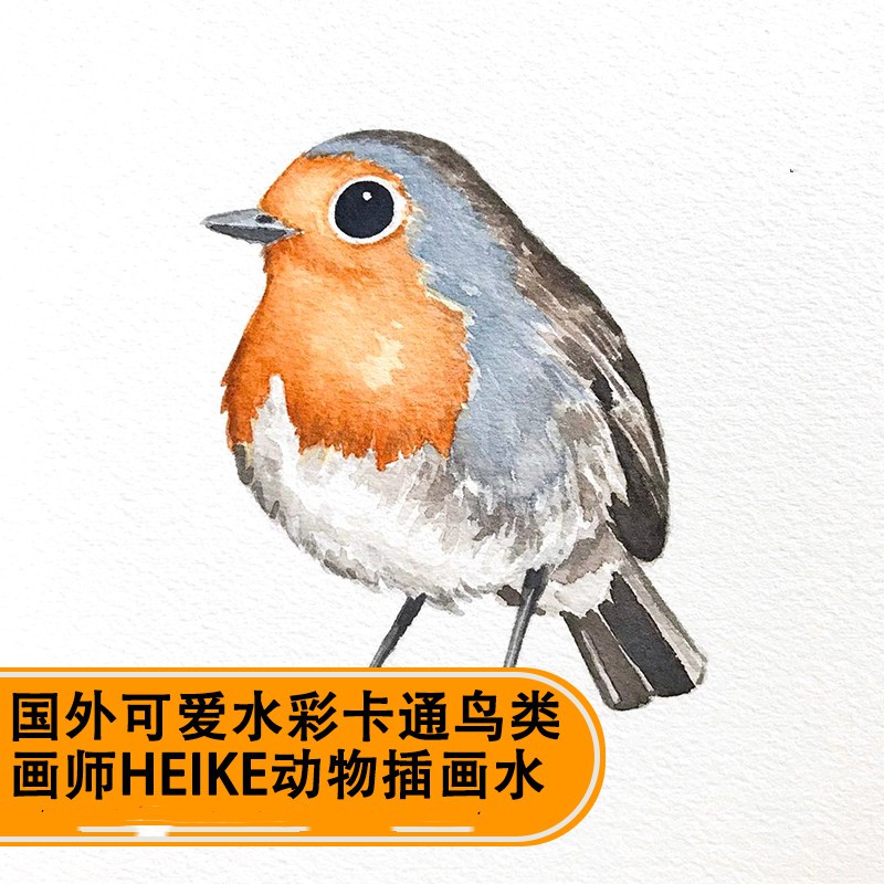 國外畫師heike可愛水彩卡通鳥類手繪畫水彩動物插畫臨摹素材日系 蝦皮購物