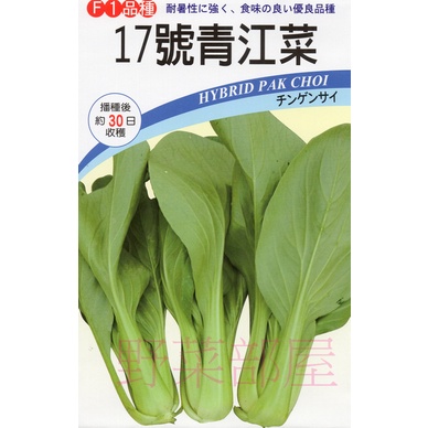【野菜部屋~】F04 時田17號青江菜種子2.5公克 , 耐熱高腳型 , 易種植 , 每包16元 ~