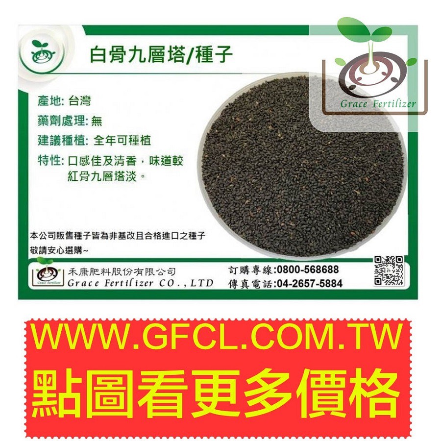 禾康肥料 白骨九層塔 大葉 600g 蝦皮購物