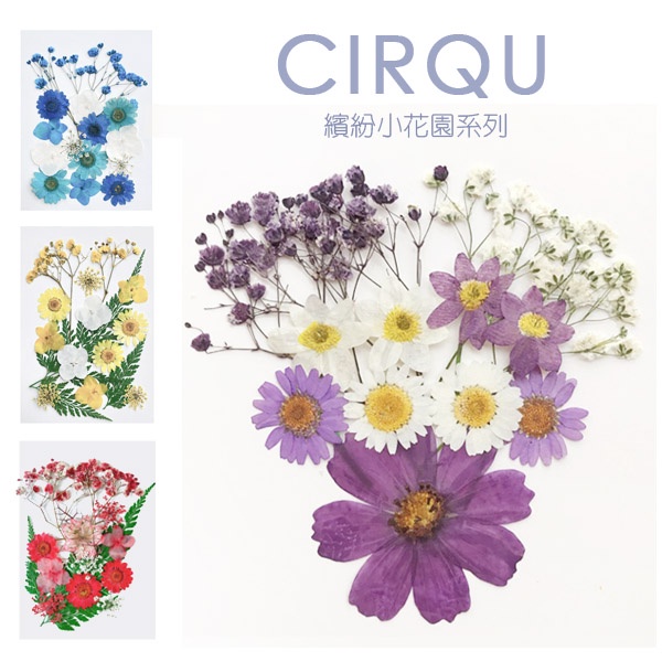 Cirqu 繽紛小花園系列壓花押花乾燥花押花材料 蝦皮購物
