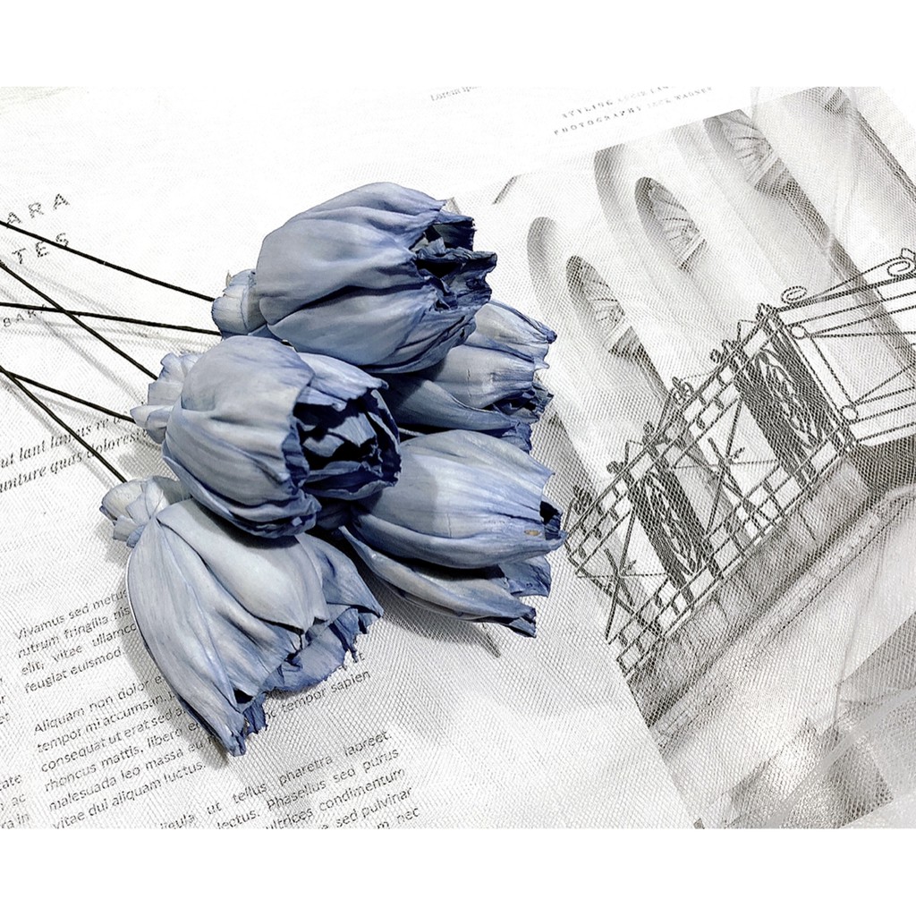 夏 花charice Flora 乾燥花 乾燥花材 索拉花 索拉鬱金香 通草花 手工花 手作素材 乾燥花素材 蝦皮購物