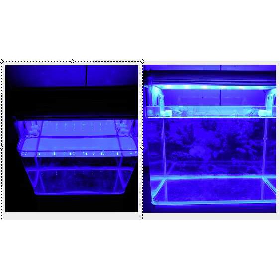 1尺缸大功率LED泛光型高亮12*2W藍光水族珊瑚長條跨燈