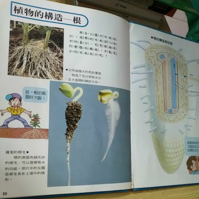 二手精裝兒童閱讀植物的構造與養分 蝦皮購物