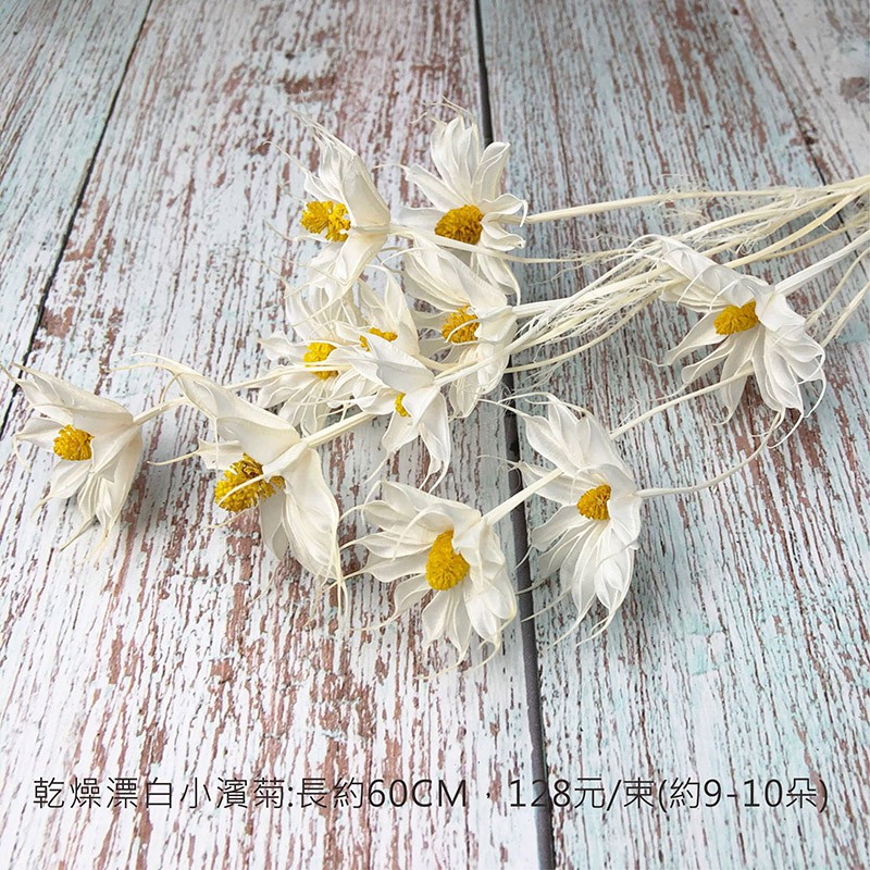 乾燥花素材優惠推薦 22年11月 蝦皮購物台灣