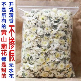 【女神花茶】黃山貢菊 菊花茶 花草茶 500G 白菊花