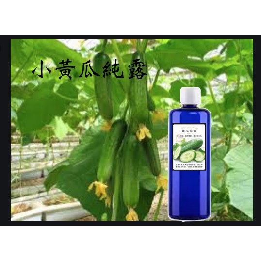 新埔山泉 小黃瓜 純露 250ML ．蒸餾