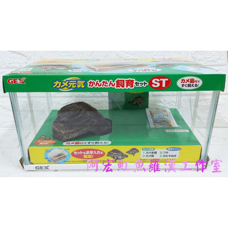 10 Off 水槽 カメ元気かんたん飼育セット St Shipsctc Org