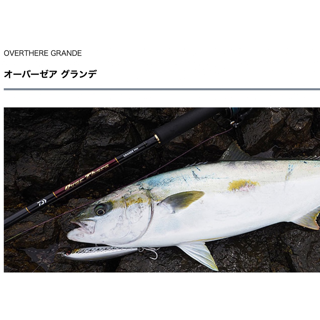 免運🎣投釣用品社🔺DAIWA🔺OVER THERE GRANDE 100H-3/100HH-3 路亞岸抛