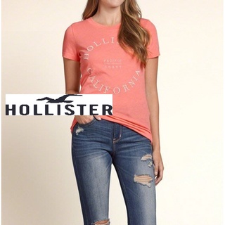 A&F副牌HCO Hollister co.Embroidered Logo Graphic Tee刺繡短T粉