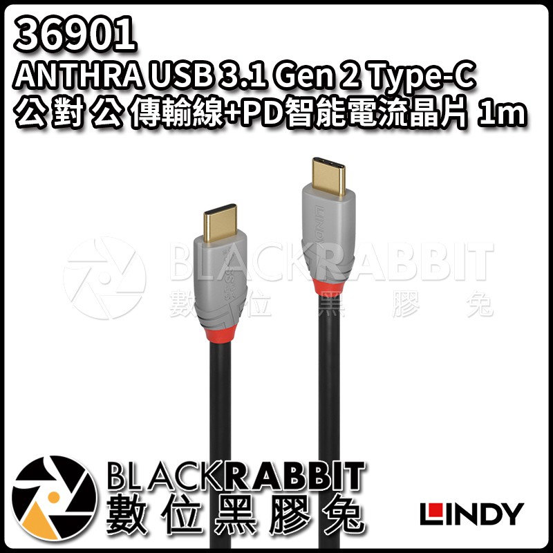 【LINDY 林帝 36901 ANTHRA USB 3.1Gen2 TypeC公 對 公 傳輸線PD 1m】數位黑膠兔