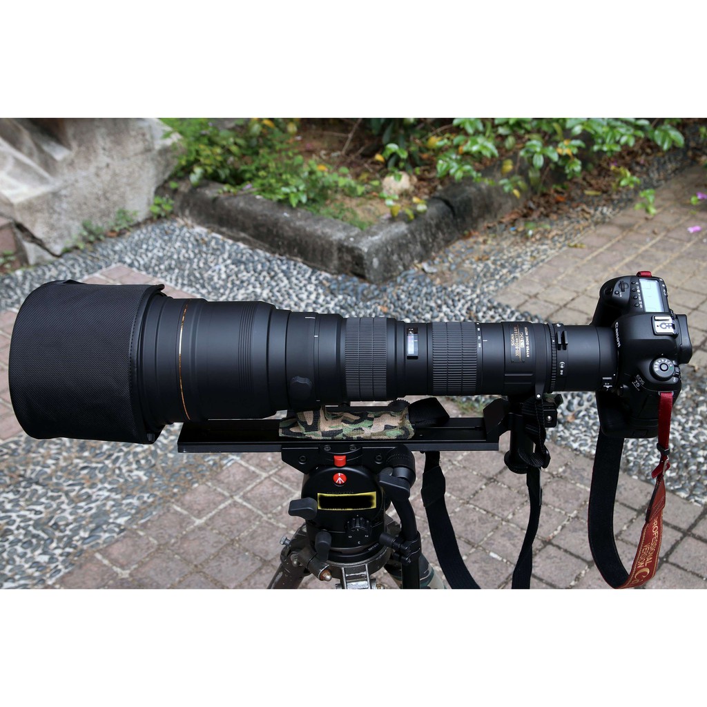 【議價】Sigma 300-800 EX DG 超望遠變焦大砲鏡頭，9成5新，Canon/SONY 可用～
